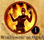 Wrażliwość na ogień.jpg