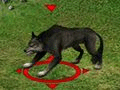 Wilk.gif