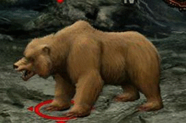 Niedźwiedź.gif