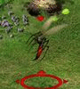 Mały Komar.gif