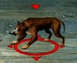 Ciemny Ogar.gif