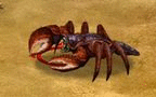 Mniejszy Krab2.gif