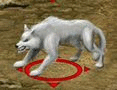 Wilk Biały.gif