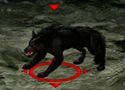 Alpha.gif