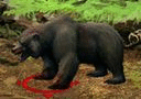 Grizzly.gif
