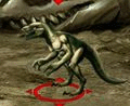 Gadzina.gif
