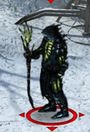 Olm.gif