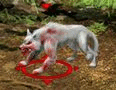 Wilczyca.gif