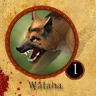 Wataha1.jpg