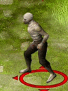 Zedgif.gif