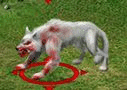 Wilk Biały Zły.gif