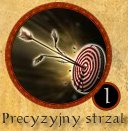 Precyzyjny strzał.jpg